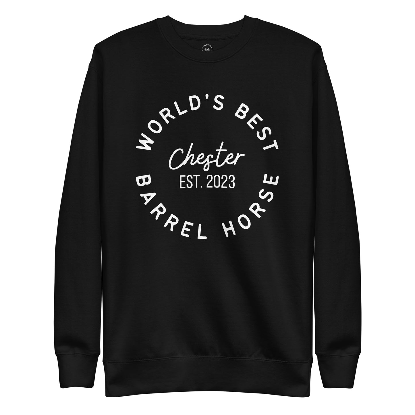 WBBH Logo Unisex Premium Sweatshirt