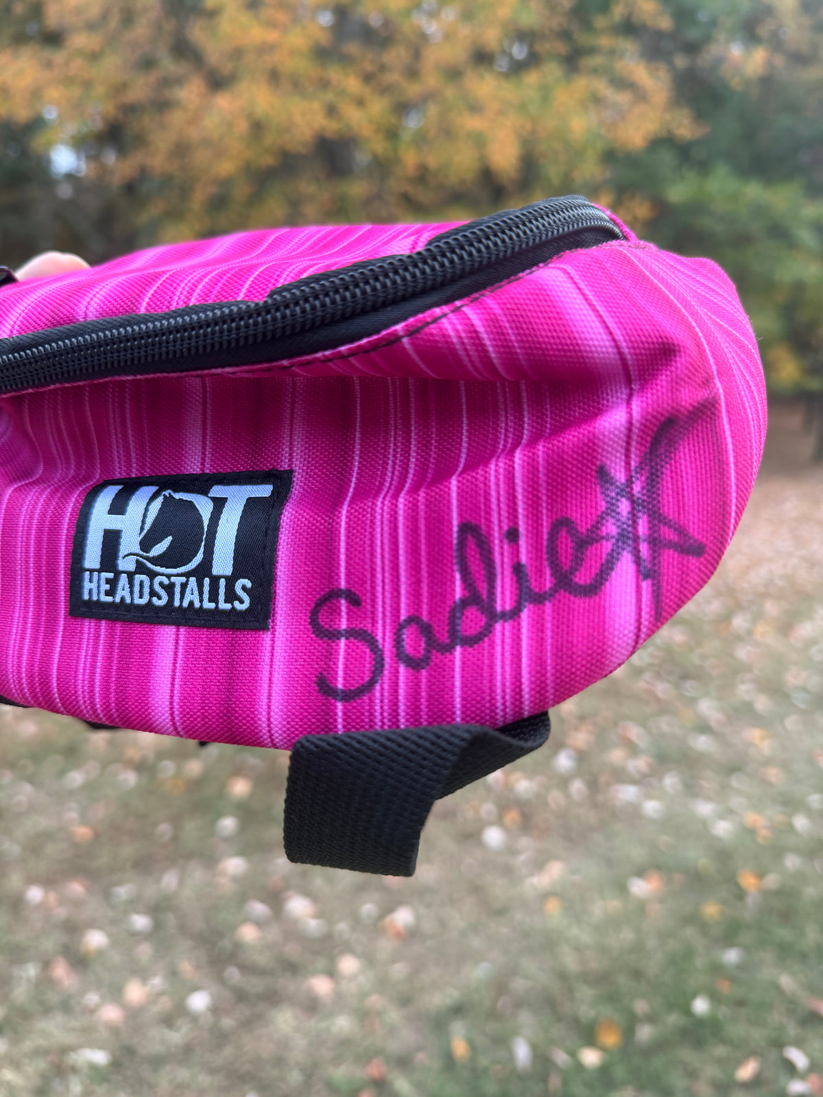 Signed Saddle Pouch Pink Serape