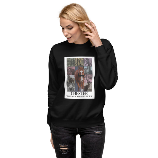 WBBH Tour Unisex Premium Sweatshirt