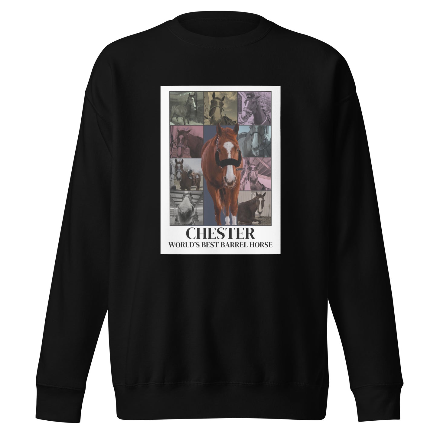 WBBH Tour Unisex Premium Sweatshirt