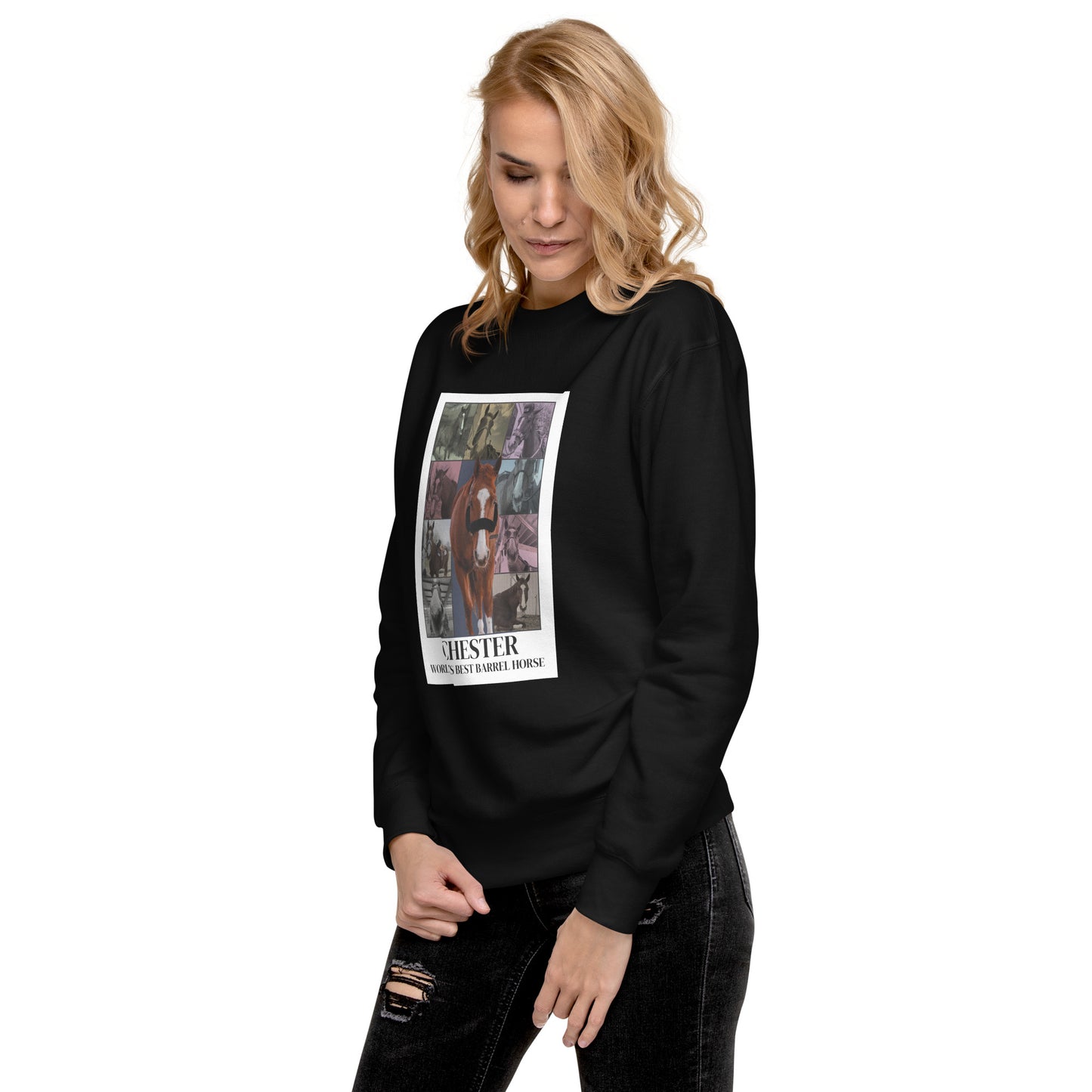 WBBH Tour Unisex Premium Sweatshirt